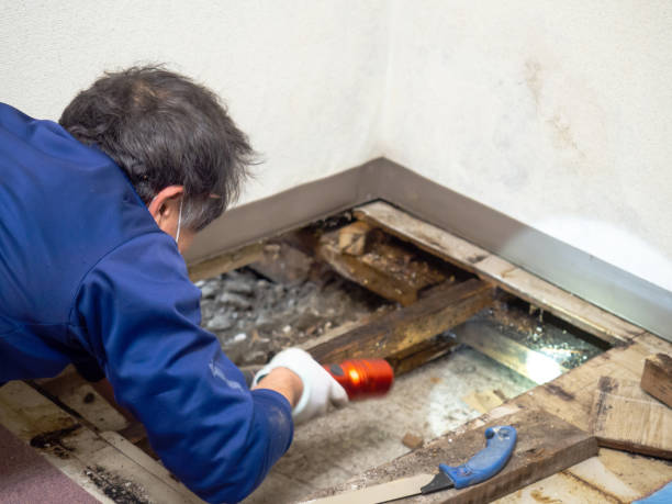 Best Mold Testing  in Prunedale, CA