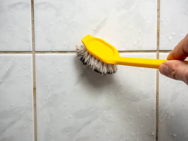 Best Mold Removal Company Near Me  in Prunedale, CA