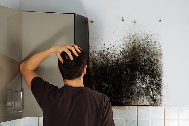 Best Mold Removal Process  in Prunedale, CA